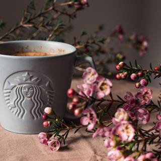 Aesthetic spring coffee wallpaper