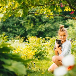 Spring cat and dogs wallpaper