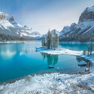 Magnificent winter wallpaper