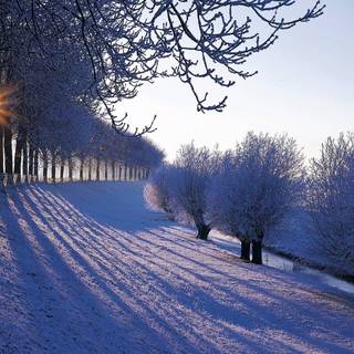 Magnificent winter wallpaper