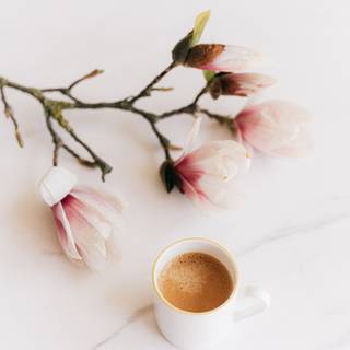 Aesthetic spring coffee wallpaper