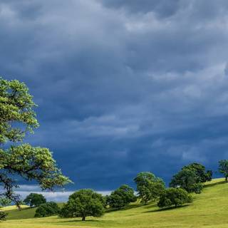 California spring iPhone wallpaper