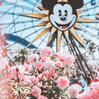 California spring iPhone wallpaper