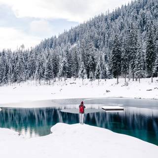 Swimming winter wallpaper