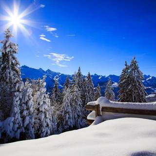 Magnificent winter wallpaper