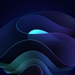 Windows 11 2023 wallpaper