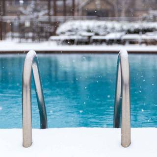 Swimming winter wallpaper