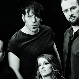 Guano Apes wallpaper