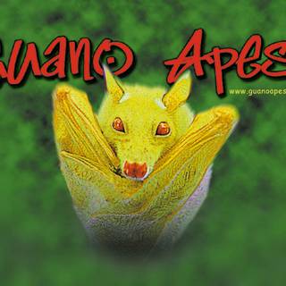 Guano Apes wallpaper