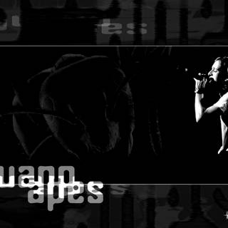 Guano Apes wallpaper