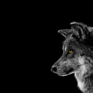 Surface Studio wallpaper