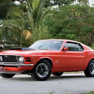 1970 Ford Mustang wallpaper