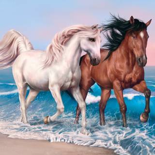 Horses on the beach wallpaper