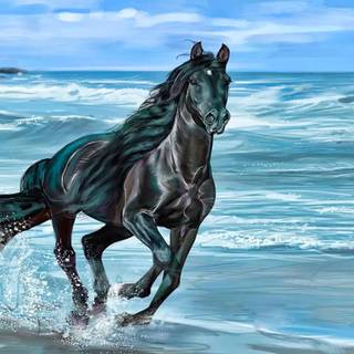 Horses on the beach wallpaper