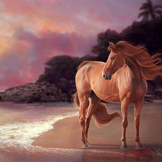 Horses on the beach wallpaper