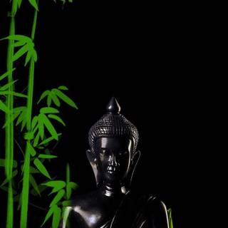 Dark Buddha wallpaper