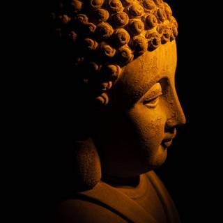 Dark Buddha wallpaper