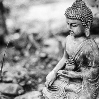 Dark Buddha wallpaper