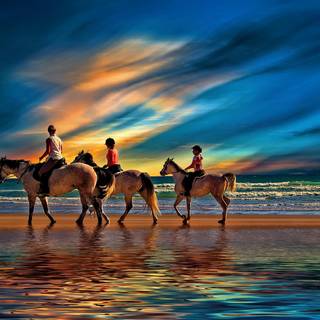 Horses on the beach wallpaper