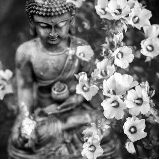 Dark Buddha wallpaper