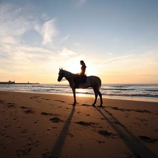 Horses on the beach wallpaper