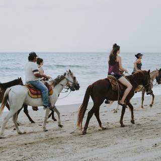 Horses on the beach wallpaper
