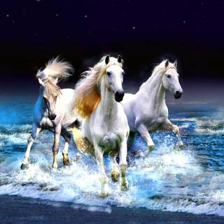 Horses on the beach wallpaper