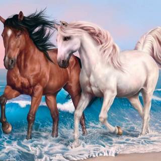 Horses on the beach wallpaper