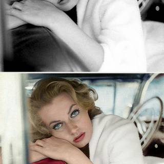 Vintage Hollywood wallpaper