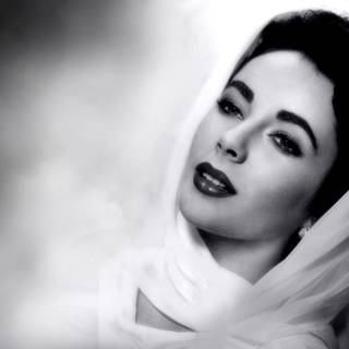 Vintage Hollywood wallpaper