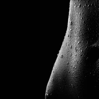 Black and white model wallpaper