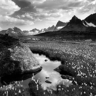 Mobile 4k white wallpaper