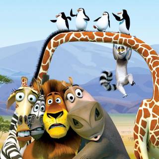 Madagascar desktop wallpaper