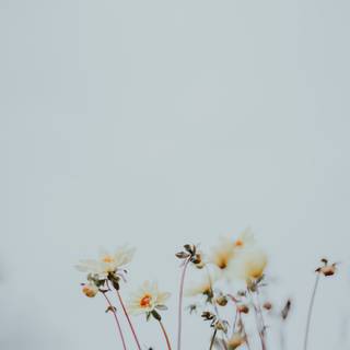 Simple floral wallpaper