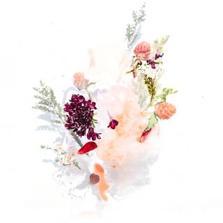 Simple floral wallpaper