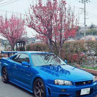 R34 4k iPhone wallpaper
