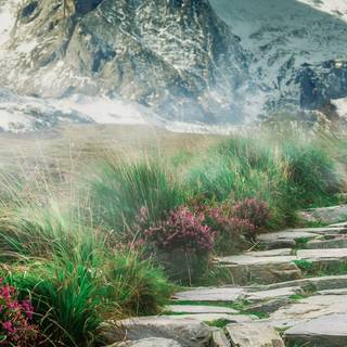 Spring mountain phone wallpaper