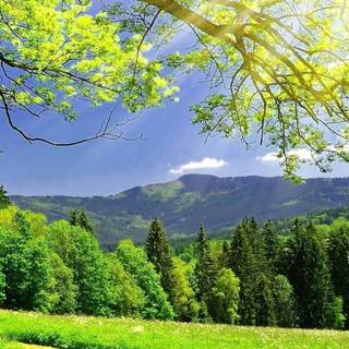 Spring mountain mobile wallpaper