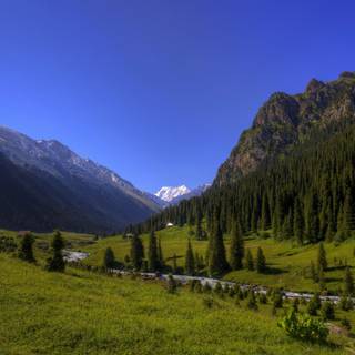 Central Asia wallpaper