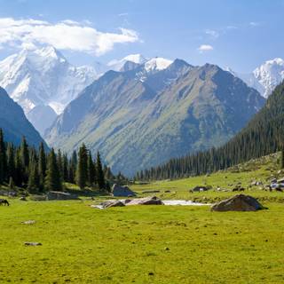 Central Asia wallpaper