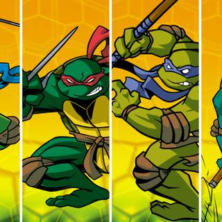 Teenage Mutant Ninja Turtles 2003 wallpaper