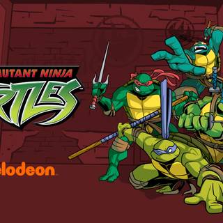 Teenage Mutant Ninja Turtles 2003 wallpaper