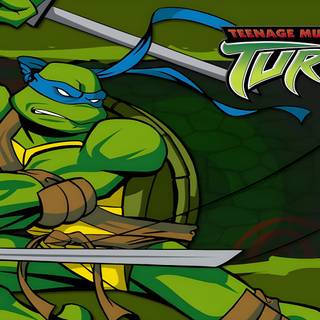 Teenage Mutant Ninja Turtles 2003 wallpaper