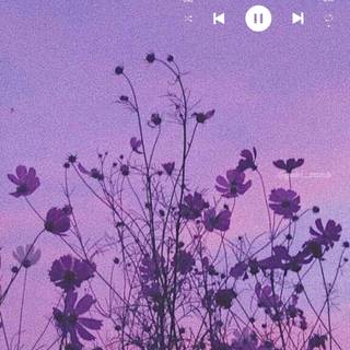 Moral of The Story wallpaper