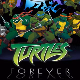 Teenage Mutant Ninja Turtles 2003 wallpaper