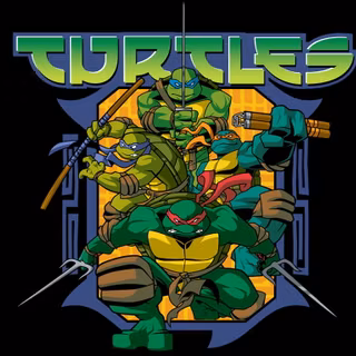 Teenage Mutant Ninja Turtles 2003 wallpaper