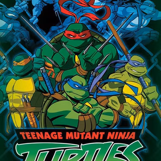 Teenage Mutant Ninja Turtles 2003 wallpaper