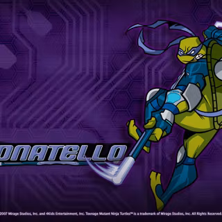 Teenage Mutant Ninja Turtles 2003 wallpaper