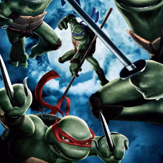 Teenage Mutant Ninja Turtles 2003 wallpaper
