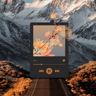 Music disc wallpaper